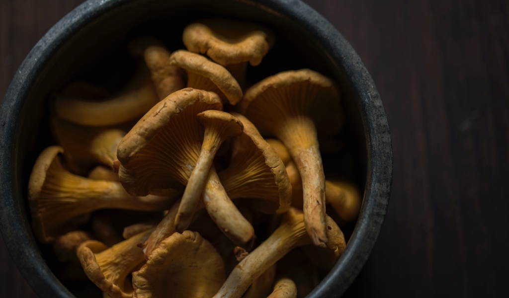 Грибы лисички в миске на столе