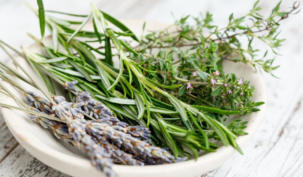 Ароматные пряные травы на столе