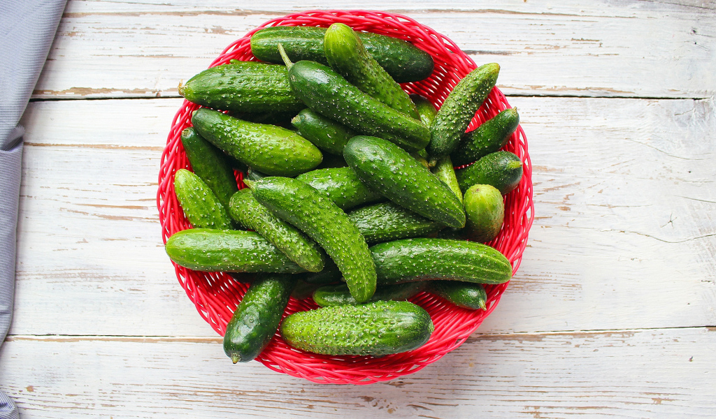 Свежие зеленые огурцы в корзинке на столе