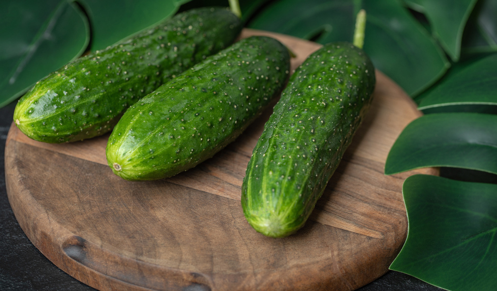 Свежие зеленые огурцы на деревянной доске