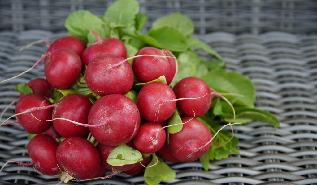 Свежий красный редис на столе