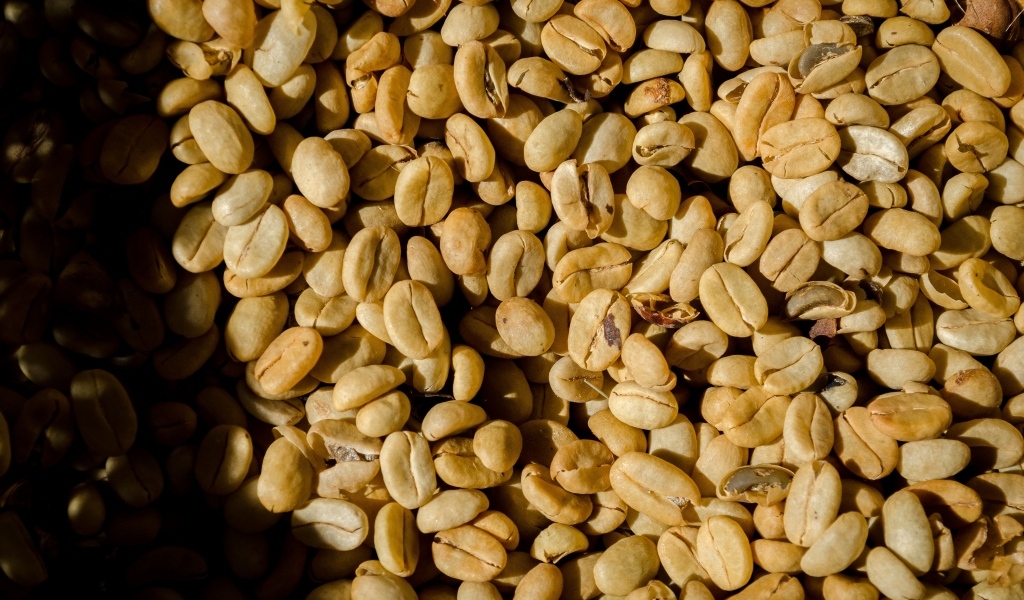 Зеленые ароматные зерна черного кофе