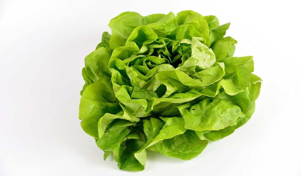 Листья зеленого салата на белом фоне