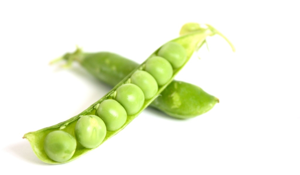 Зеленый горох на белом фоне