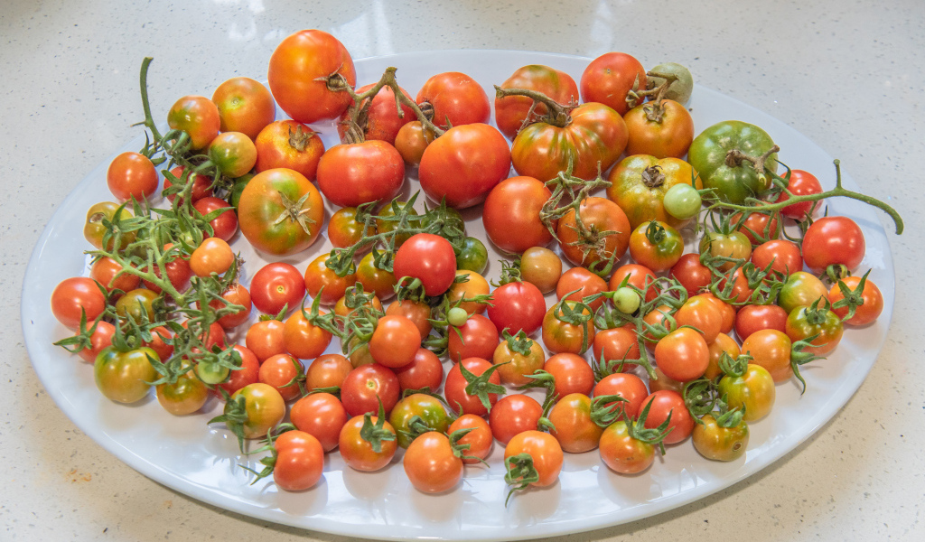 Большая белая тарелка с красными помидорами