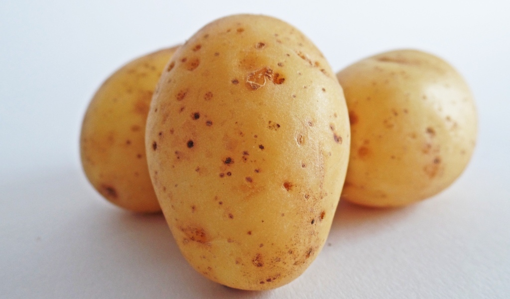 Картофель на белом фоне 