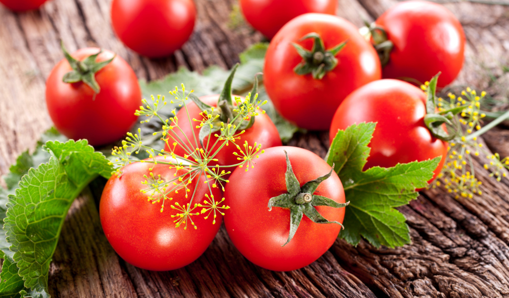 Красные помидоры на деревянном столе с укропом