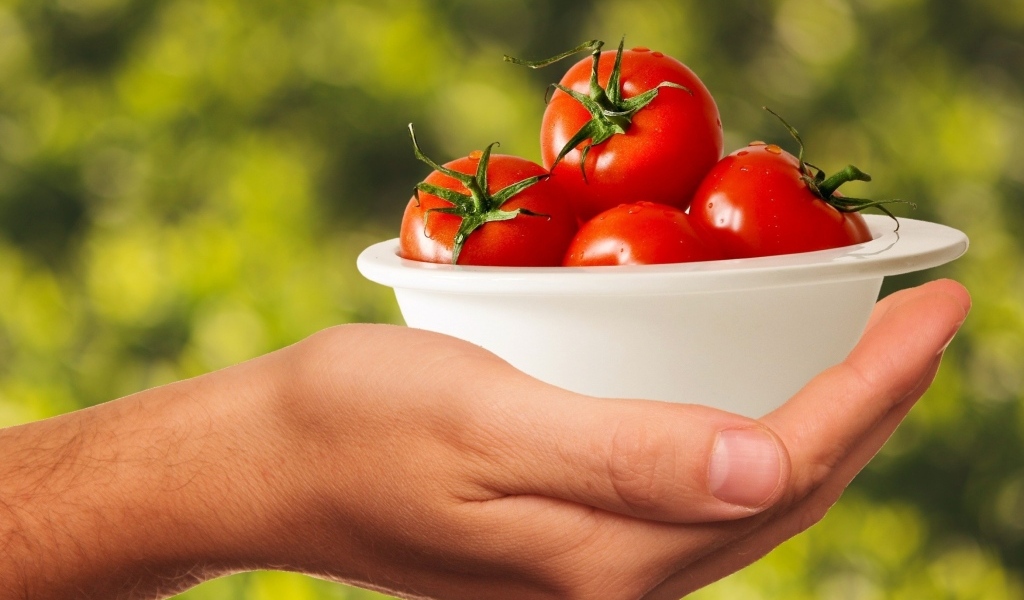 Спелые томаты в белой тарелке на руке