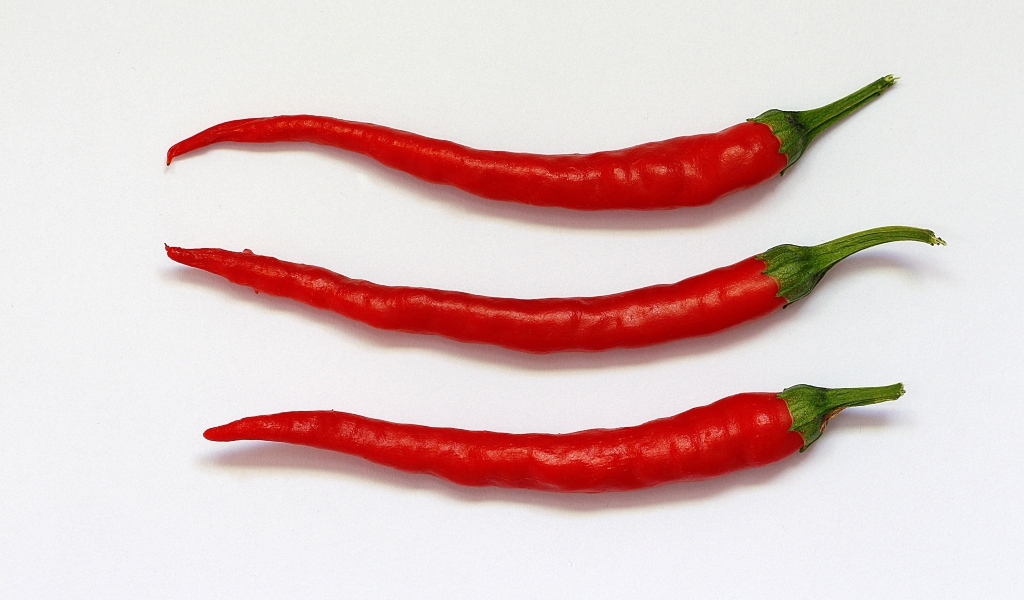 Три перца чили на сером фоне