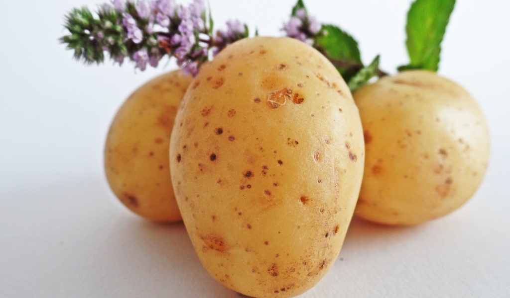 Молодой картофель с цветами мяты