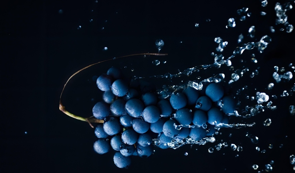 Гроздь синего винограда в брызгах воды на черном фоне