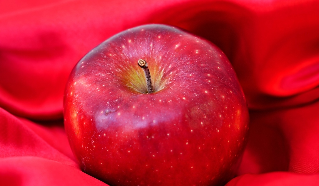 Большое красное яблоко лежит на ткани