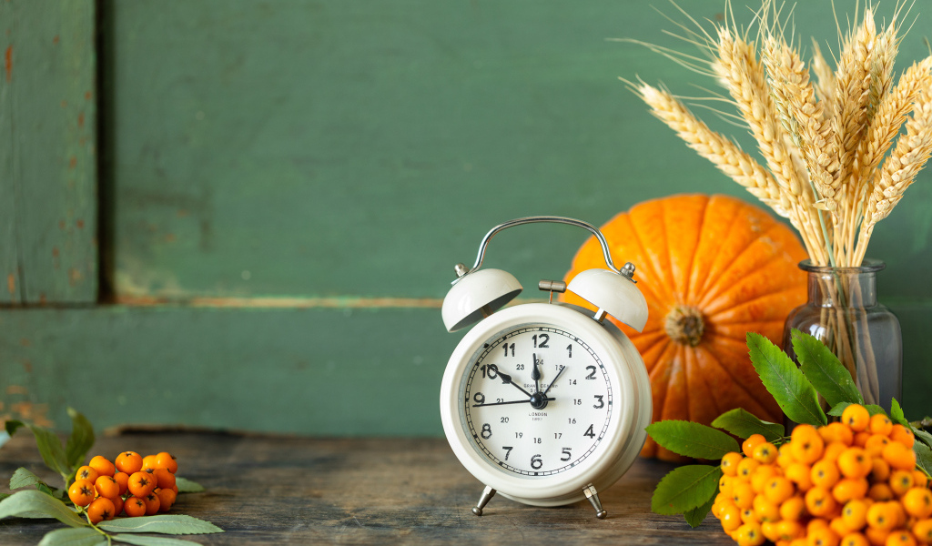 Будильник на столе с тыквой и ягодами рябины