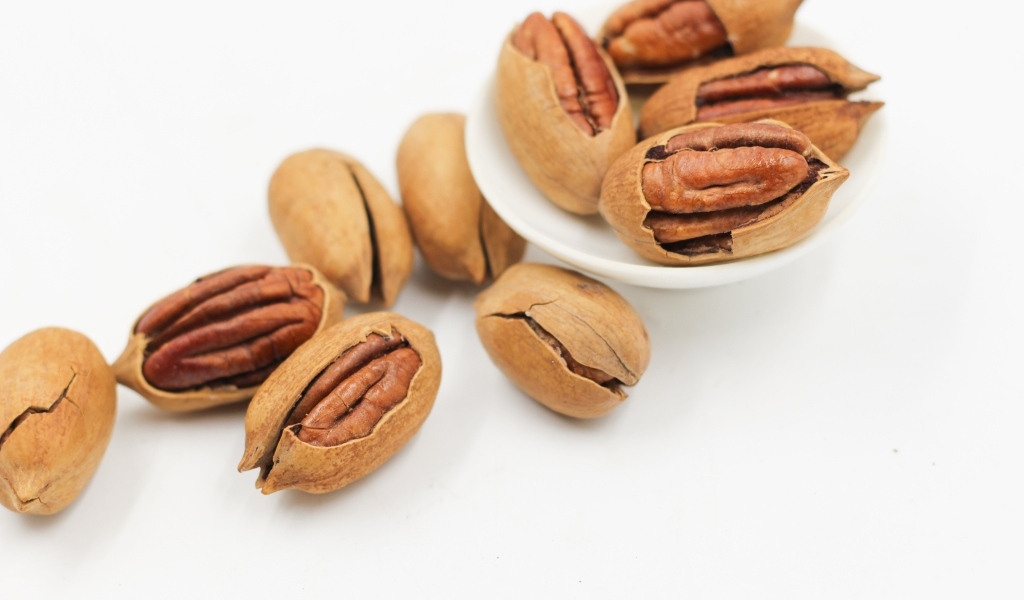 Большой орех пекан на белом фоне