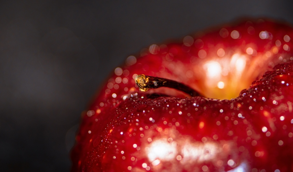 Большое мокрое красное яблоко на сером фоне