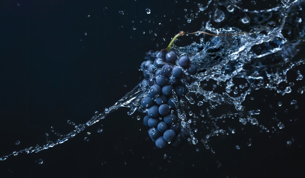 Гроздь синего винограда в воде на черном фоне