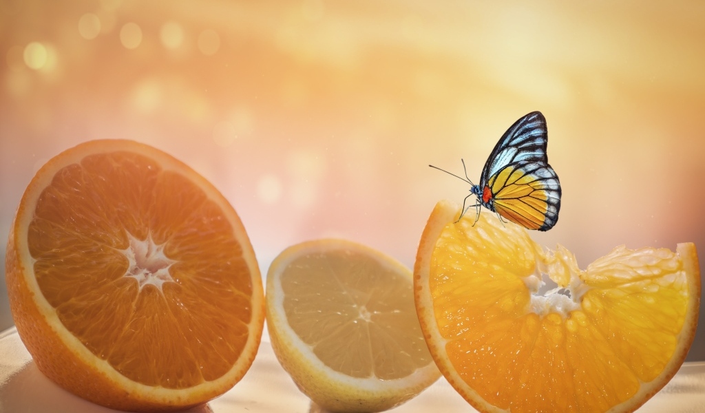 Большие оранжевые апельсины и лимон с бабочкой