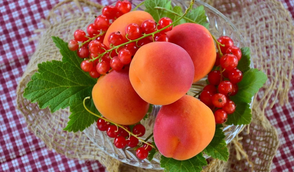 Большие сладкие абрикосы с красной смородиной