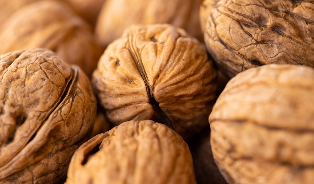 Крупные грецкие орехи