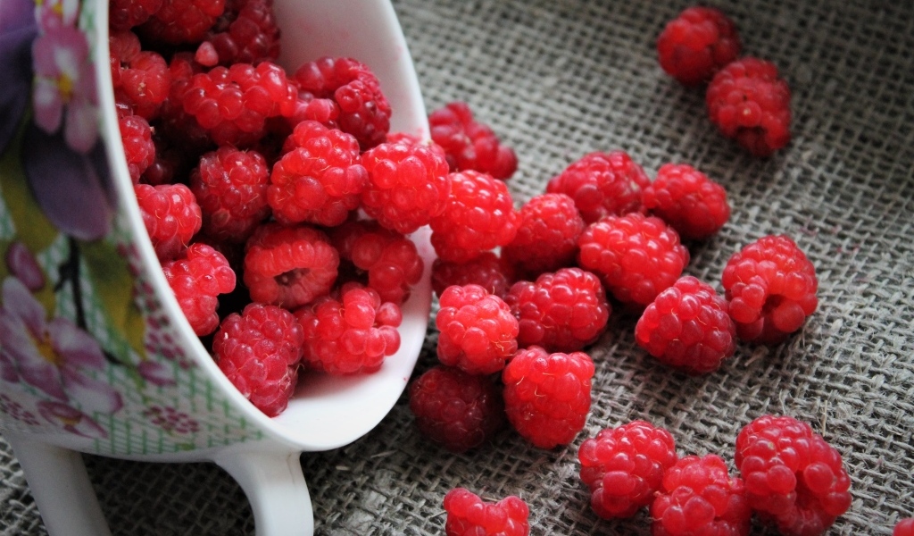 Красная спелая малина в чашке на столе