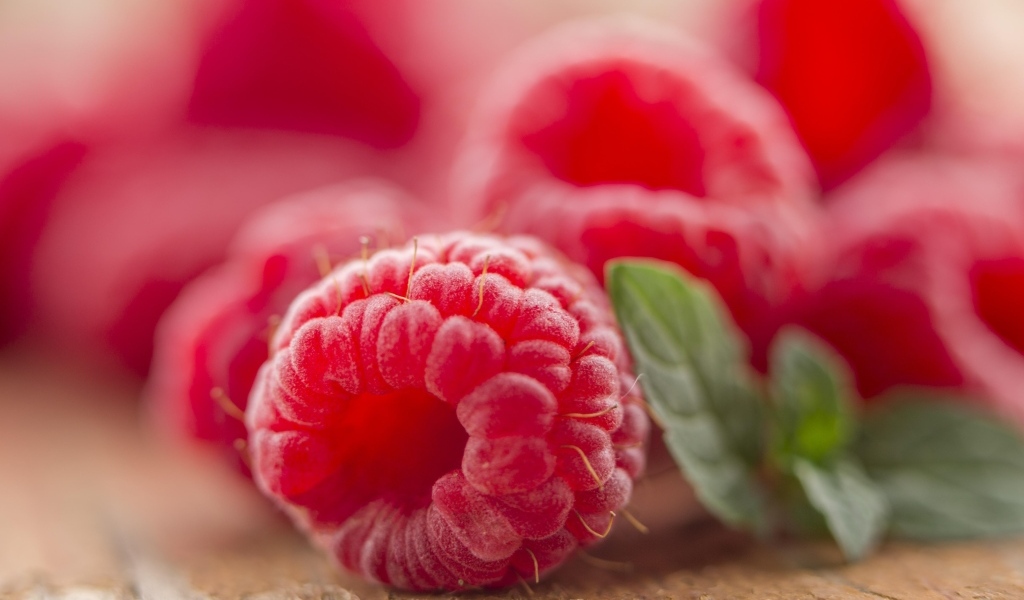 Ягода спелой красной малины крупным планом