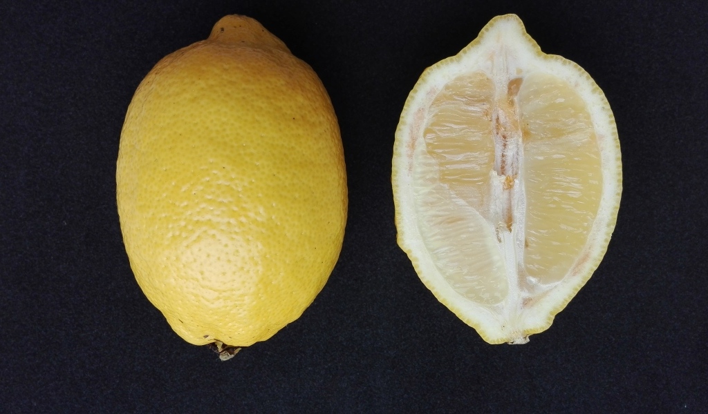 Разрезанный лимон на черном столе