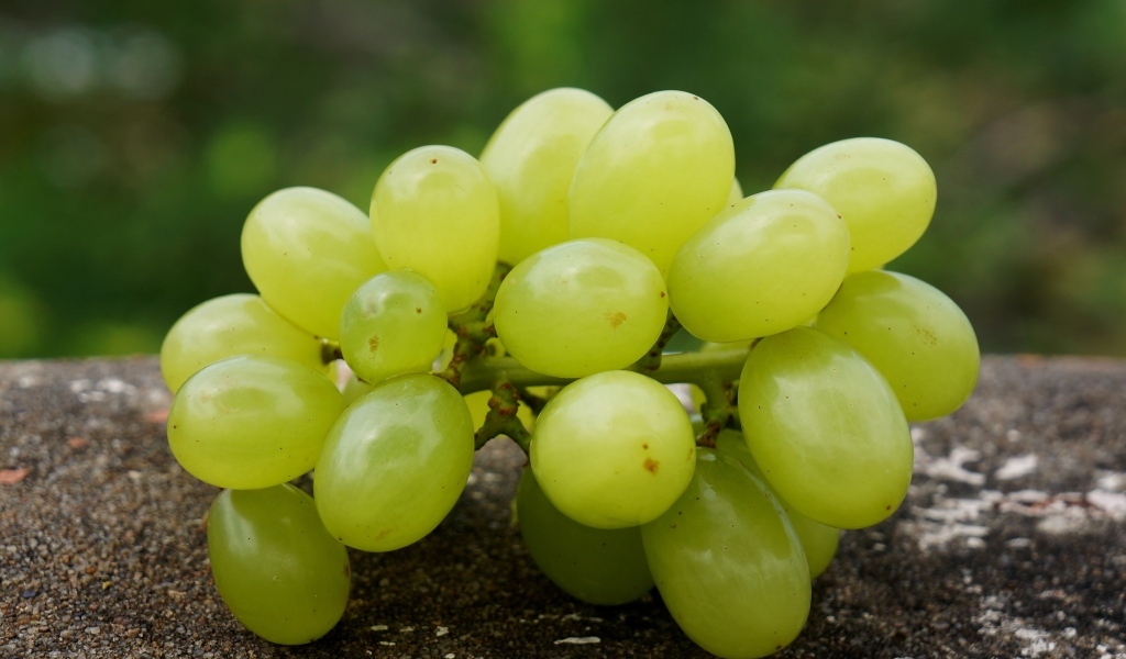 Белый виноград лежит на асфальте