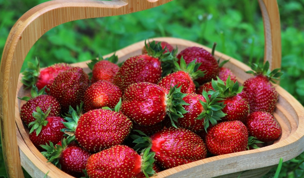 Деревянная корзина вкусной сладкой спелой клубники
