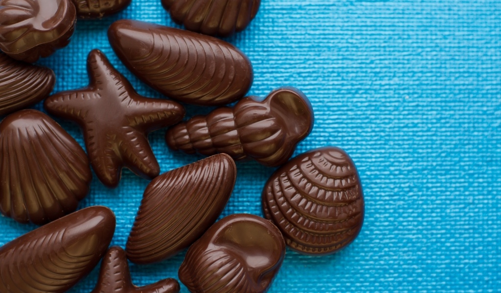 Шоколадные конфеты в форме ракушек на голубом фоне