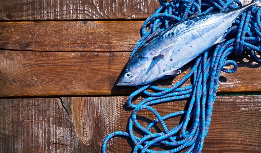 Свежая рыба с веревкой на деревянном столе