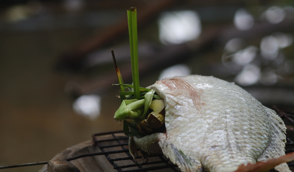 Рыба фаршированная зеленью на гриле