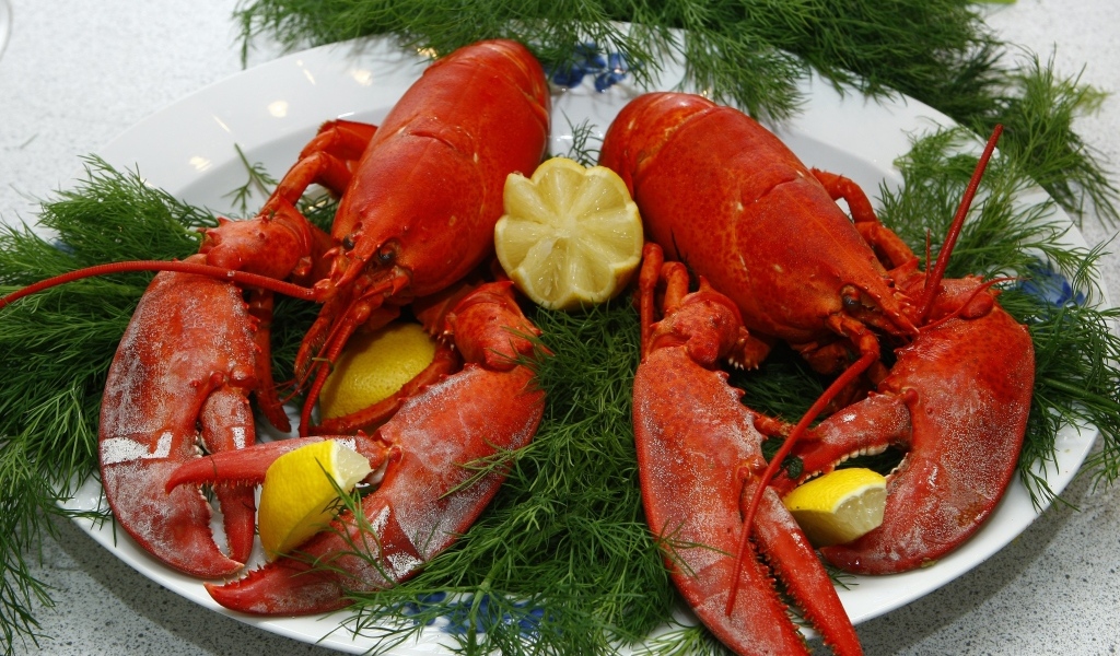 Большой вареный рак на тарелке с укропом