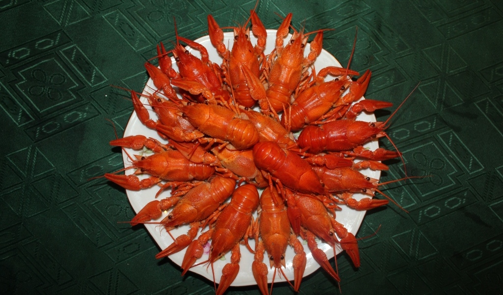 Красные вареные раки на белой тарелке