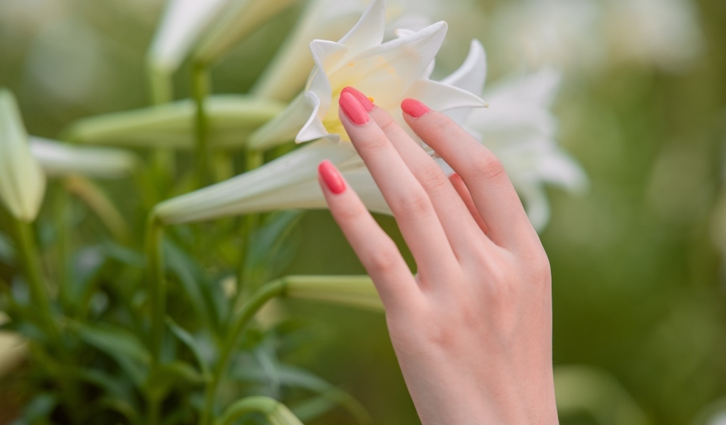 Нежная женская рука касается белой лилии
