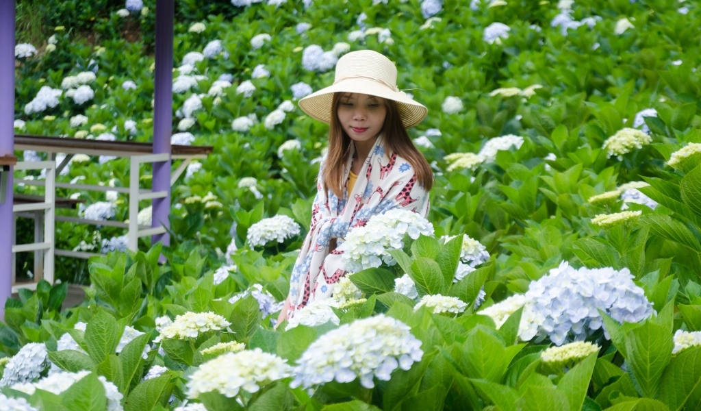 Девушка азиатка сидит в цветах гортензии