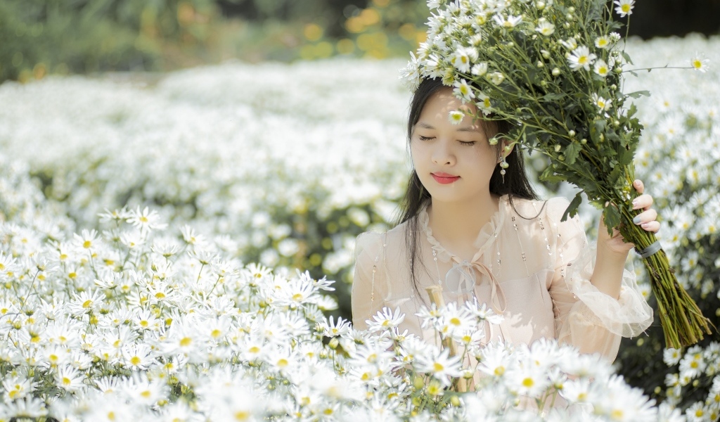 Красивая девушка азиатка на поле с белыми цветами хризантемы