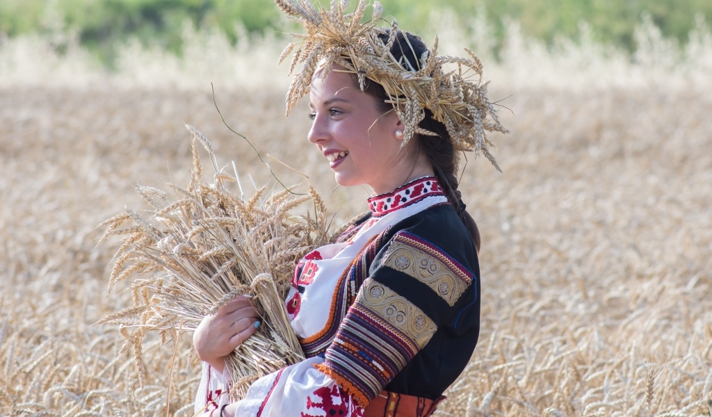 Красивая девушка на поле с пшеницей