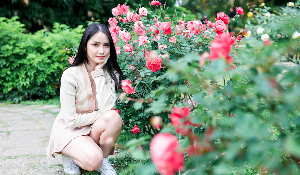Красивая девушка сидит у куста роз