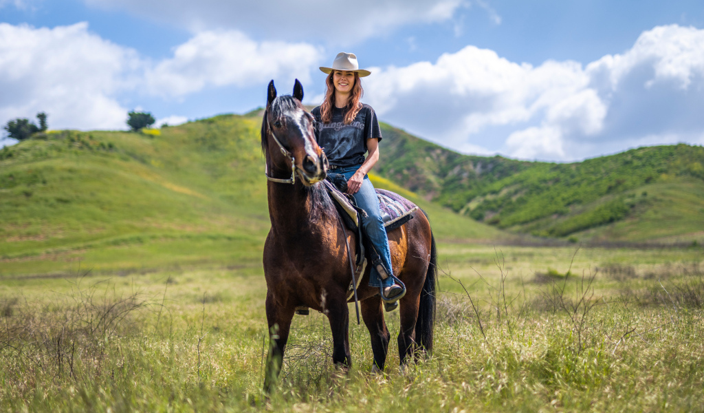 Красивая девушка сидит на большой лошади