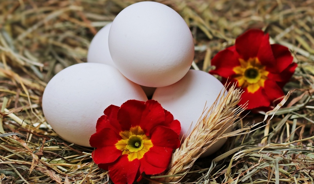 Белые яйца с цветами в гнезде на праздник Пасха