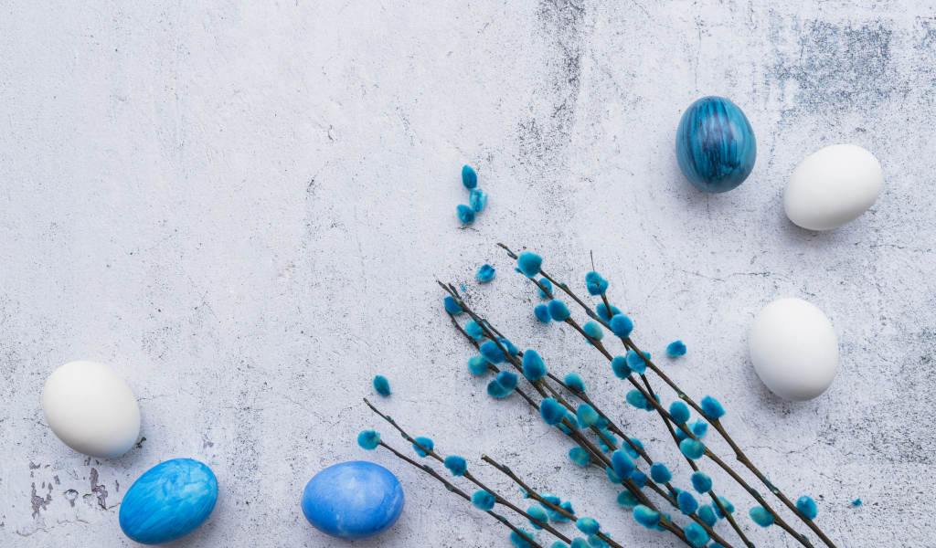 Ветка вербы с голубыми и белыми яйцами на сером фоне на праздник Пасха