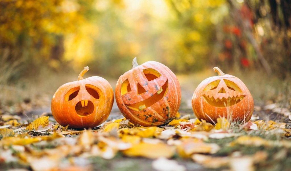 Три тыквы для Хэллоуина на земле