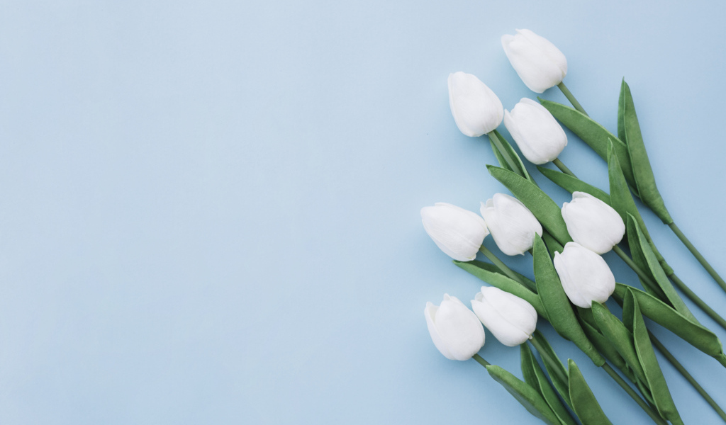 Букет белых тюльпанов шаблон поздравительной открытки на 8 марта