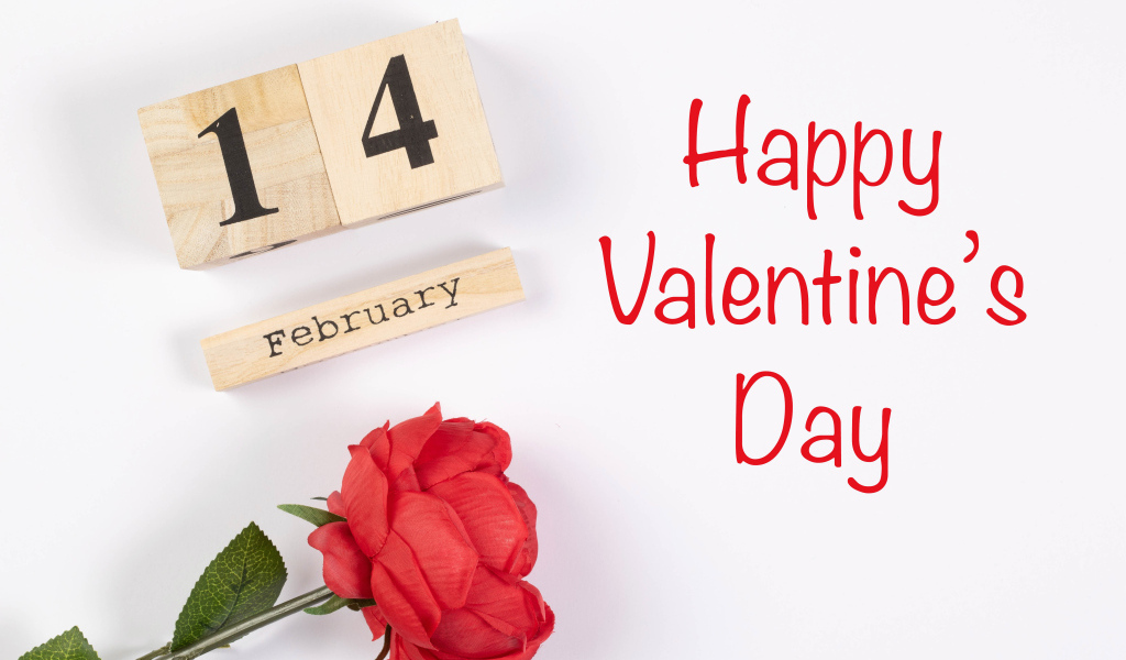 Красивая открытка с розой на белом фоне на День влюбленных