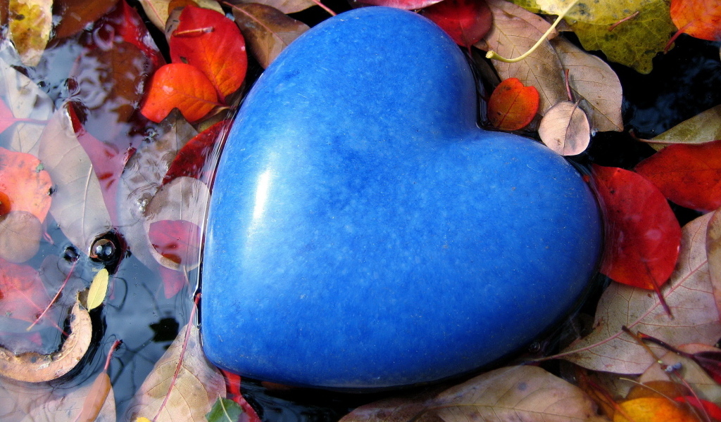 Большое голубое сердце лежит на листве