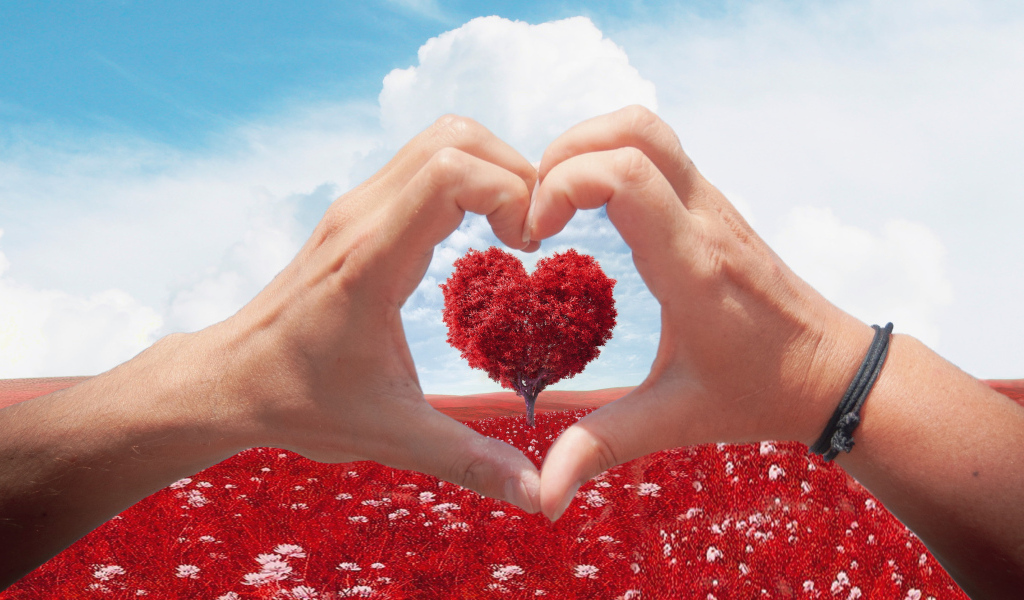 Две руки создают сердце на фоне дерева