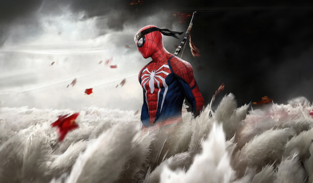 Ниндзя Человек паук на поле