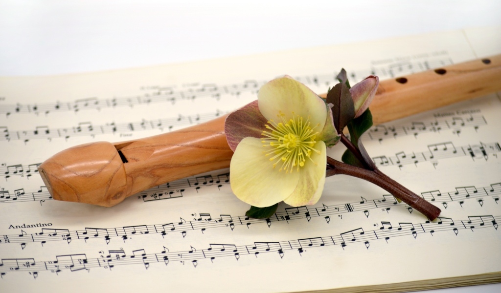 Ноты, флейта и цветок на белом фоне