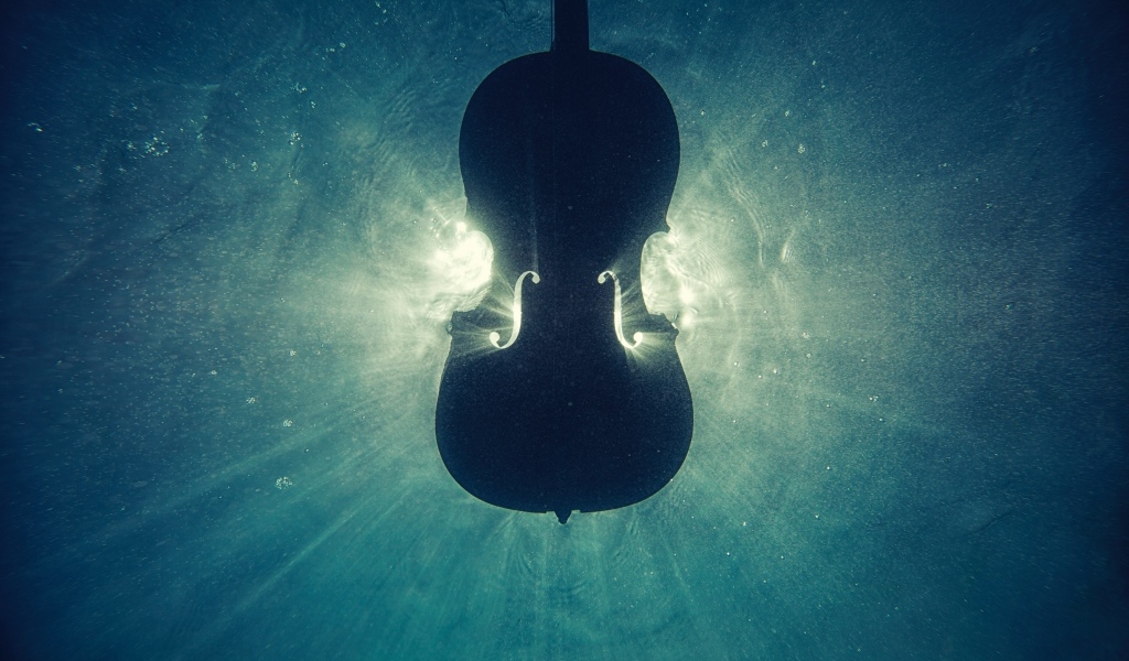 Скрипка лежит в воде