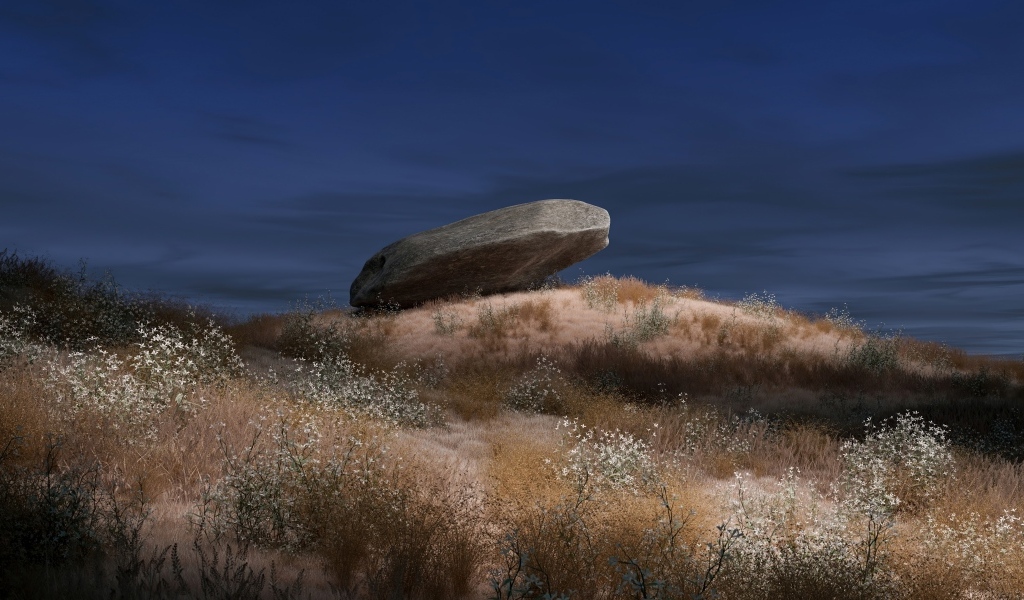 Большой камень лежит на траве ночью